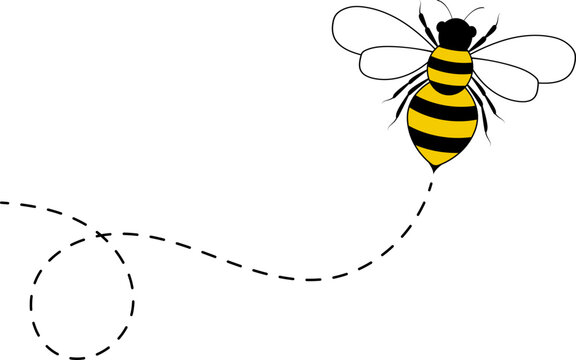 Bee flying path. A bee flying in a dotted line. The flight path of bee. Bee flying on a dotted route. Hand drawn bees. Vector illustration.