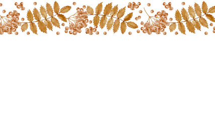 Watercolor autumn leaves and berries of Rowan tree. Web banner. Vintage monochrome pattern. Sepia watercolor illustration.