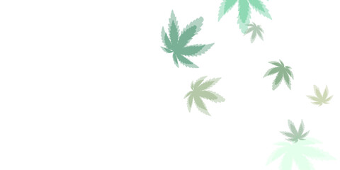 green fresh tea leaves isolated on white background