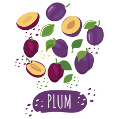 A set of plum slices with the inscription plum. Fresh, juicy and tasty fruit. Vector illustration of organic fruit. Eco-label for natural watermelon flavor. Juice, smoothie design.