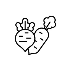 Radish outline icons, minimalist vector illustration ,simple transparent graphic element .Isolated on white background