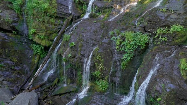 Close-up of Catawba Falls with water cascading over moss-covered rocks, surrounded by lush greenery and plants.