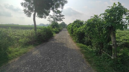 Obraz premium Nature, in the broadest sense, is the natural, physical, or material world or universe. 