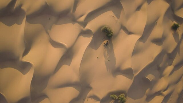 Aerial view of golden, wavy sand dunes at sunset, Abu Dhabi, United Arab Emirates.
