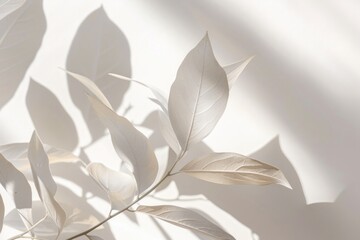 A close-up of a modern, minimalist arrangement of leaves or flowers, with soft shadows and clean lines.