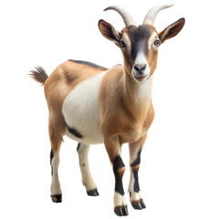 Fototapeta premium goat on a transparent background