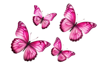 Obraz premium pink butterfly on a transparent background