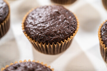 Baking Chocolate Cupcakes with Decadent Chocolate Frosting