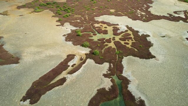Aerial view of abstract wetlands and vegetation at Wellington Point, Geoff Skinner Wetlands, Brisbane, Queensland, Australia.