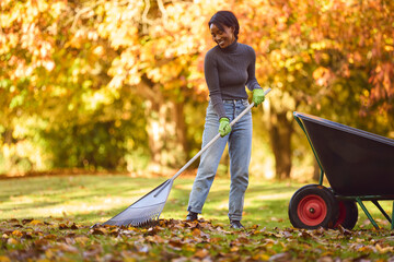 Young Woman With Barrow Raking Leaves In Autumn Garden