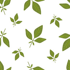 Leaves simple seamless pattern. Botanical summer background, vector isolated on white background. 