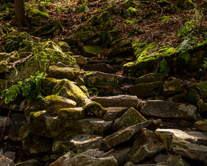Rock trail in the forest 