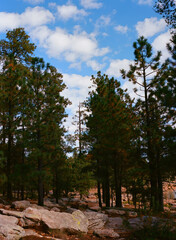 Woods Canyon Lake Arizona