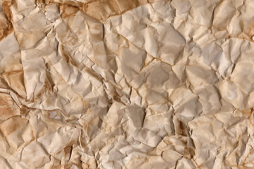 Vector old parchment paper sheet vintage aged or texture isolated on white background