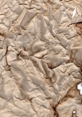 Vector old parchment paper sheet vintage aged or texture isolated on white background