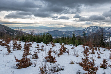 Fotografia wykonana na szlaku w Beskidzie Śląskim. Widać na niej Skrzyczne, Żywiecczyznę i Beskid Żywiecki w oddali. © Arsky