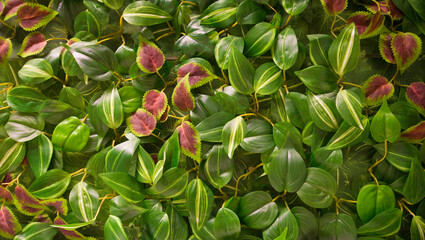 Beautiful bright colorful flower background