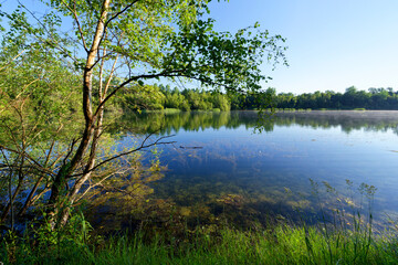 Buissonnet pond in Compiègne forest
