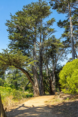 Walking path in the Blue Heron Lake located in Golden Gate Park, San Francisco, CA, USA