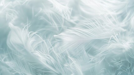 Fototapeta premium Close-up of white feathers with a soft, airy texture, creating a light and delicate background for various themes.