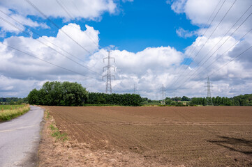 Plantation  of young corn field and brown soil at the Flemish countryside around Dilbeek, Belgium