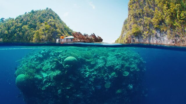Underwater splitted footage of the coral reef in Raja Ampat in Misool region, Indonesia