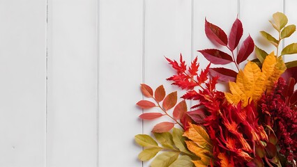 Autumn flowers on white background