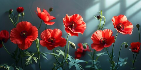 Fototapeta premium Red poppies on a dark background. Floral background.