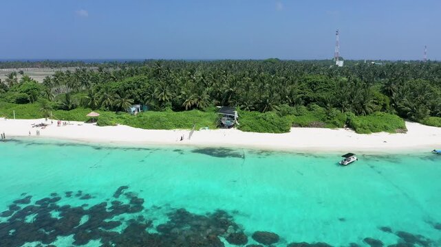 Aerial view of lush greenery and palm trees by the ocean, Thoddoo Atoll, Maldives.