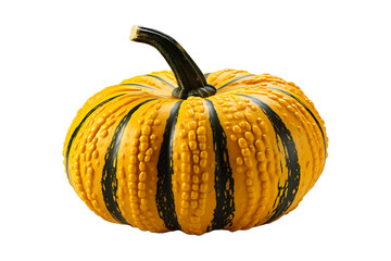 Acorn squash Isolated on transparent background
