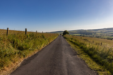 Looking along a country road in West Sussex, on a sunny summer's evening