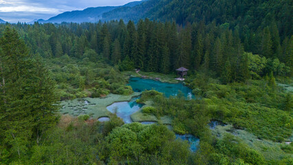 Stunning Aerial Footage of Zelenci Springs, Slovenia: A Hidden Jewel in the Julian Alps