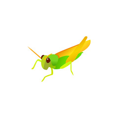 green and yellow grasshopper logo