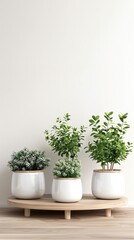 Fototapeta premium Minimalist arrangement of three green plants in white pots on wooden platform against a light background, creating a serene and fresh look.