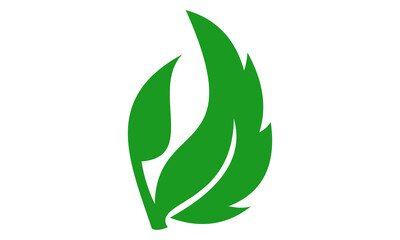 leaf logo vector