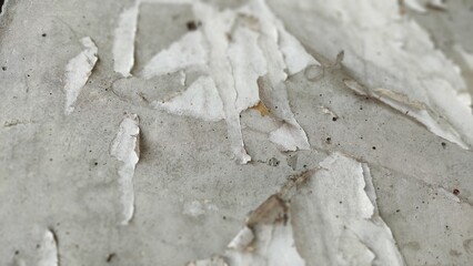 stone wall texture