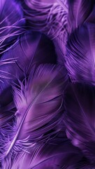 Obraz premium Elegant close-up of delicate purple feathers in soft focus
