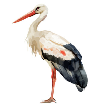 recommend clip art: Watercolor painting vector of a stork bird, isolated on a white background, stork bird vector, clipart Illustration, Graphic logo, drawing design art, clipart image