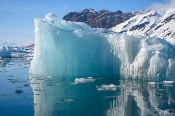 Glacier Ice and Icebergs Floating in the Arctic in Svalbard