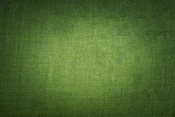 green canvas texture. can use as background