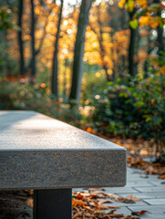 A stone bench in a park with autumn foliage and sunlight.