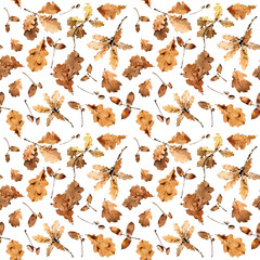 Fall floral seamless pattern with watercolor autumn leaves and acorns. Botanical print.