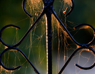 Golden spider webs hanging from iron bars