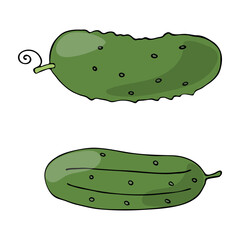 Cucumbers isolated on a white background. Vector illustration of vegetables, icons. Vegetables in a hand-drawn style.