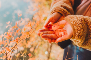 紅葉、秋の訪れ