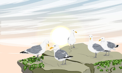 A flock of sea gulls are sitting on a large stone above the sea. Wild seabirds. Realistic vector landscape