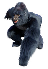 Fototapeta premium 3D Rendering Black Gorilla Ape on White