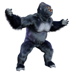 Fototapeta premium 3D Rendering Black Gorilla Ape on White