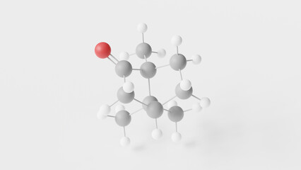 camphor molecule 3d, molecular structure, ball and stick model, structural chemical formula terpenoid