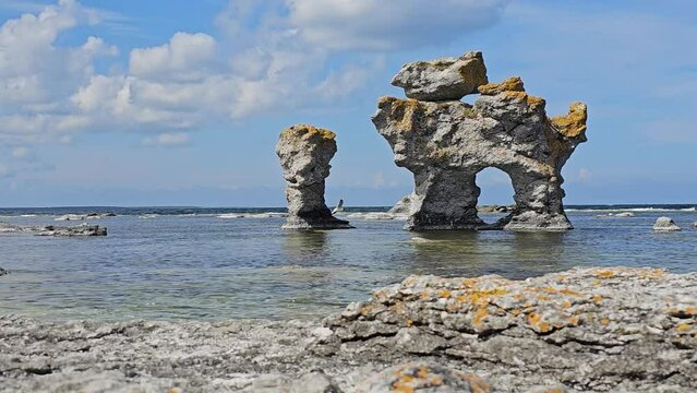 Kaffepannan rock - a dog, Limestone stacks called Rauks at Gamla hamn Nature Reserve on the island of F&aring;r&ouml;, northern Gotland, Sweden, Scandinavia, during sunny day, Baltic sea shore tide, seagulls